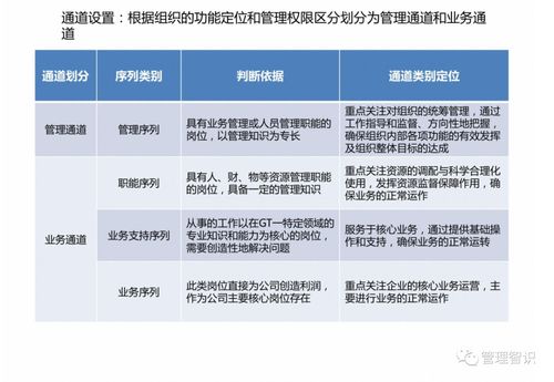 资产管理公司职业发展体系解析